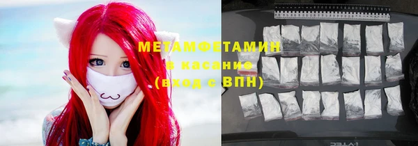 ПСИЛОЦИБИНОВЫЕ ГРИБЫ Няндома