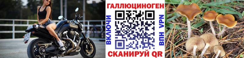 что такое наркотик  Полярный  Галлюциногенные грибы ЛСД 